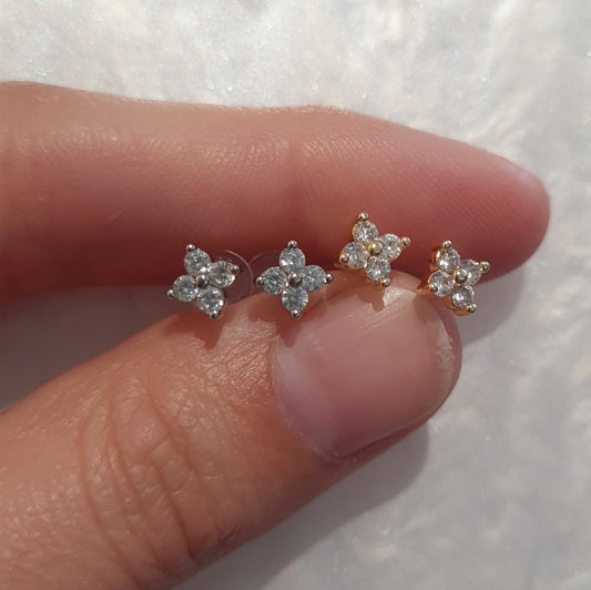 Zircon Studs