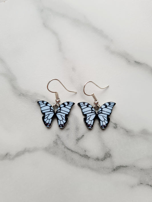 Baby Blue Butterflies